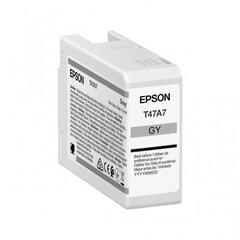Epson UltraChrome Pro 10 ink T47A7 Ink c цена и информация | Картриджи для струйных принтеров | kaup24.ee