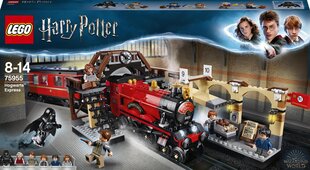 75955 LEGO® Harry Potter Sigatüüka ekspress цена и информация | Конструкторы и кубики | kaup24.ee