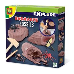 Kaevetööde komplekt SES Excavate Fossils цена и информация | Настольные игры, головоломки | kaup24.ee