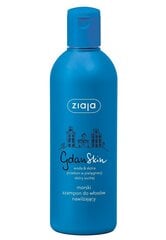 Ziaja GdanSkin шампунь 300 ml цена и информация | Шампуни | kaup24.ee