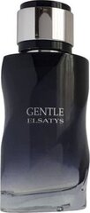 Reyane Tradition Gentle Elsatys EDP meestele 100 ml hind ja info | Meeste parfüümid | kaup24.ee