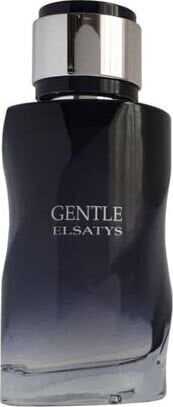 Reyane Tradition Gentle Elsatys EDP meestele 100 ml цена и информация | Meeste parfüümid | kaup24.ee