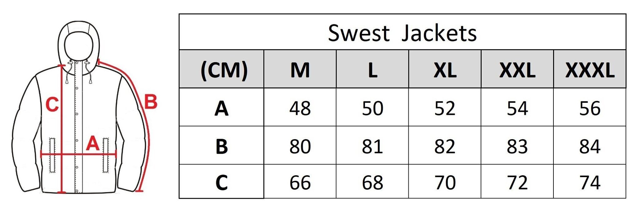 Meeste jope Swest 2916, sinine цена и информация | Meeste joped | kaup24.ee