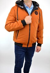 Мужская куртка Swest 2917, коричневая цена и информация | Мужские куртки | kaup24.ee