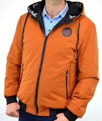 Мужская куртка Swest 2917, коричневая цена и информация | Мужские куртки | kaup24.ee