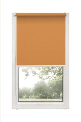 Рулонные шторы Mini Decor D 24 Коричневый, 50x150 см цена и информация | Рулонные шторы | kaup24.ee
