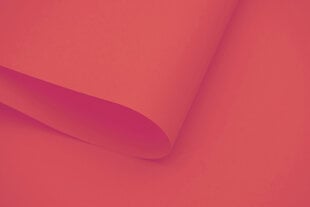 Настенный тканевый ролет Dekor 130x170 см, d-09 красный цена и информация | Рулонные шторы | kaup24.ee