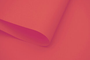 Seinapealne ruloo koos tekstiiliga Dekor 220x170 cm, d-09 Punane цена и информация | Рулонные шторы | kaup24.ee