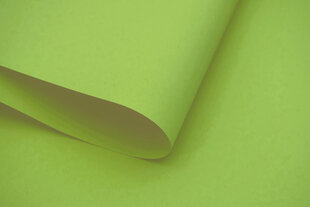 Настенный тканевый ролет Dekor 130x170 см, d-11 зеленый цена и информация | Рулонные шторы | kaup24.ee