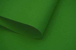 Настенный тканевый ролет Dekor 120x170 см, d-13 зеленый цена и информация | Рулонные шторы | kaup24.ee