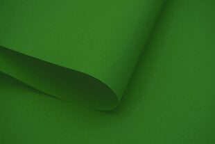Настенный тканевый ролет Dekor 140x170 см, d-13 зеленый цена и информация | Рулонные шторы | kaup24.ee