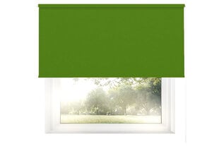 Seinapealne ruloo koos tekstiiliga Dekor 140x170 cm, d-13 roheline hind ja info | Rulood | kaup24.ee