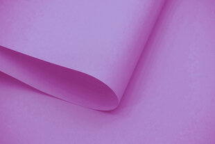 Настенный тканевый ролет Dekor 140x170 см, d-23 фиолетовый цена и информация | Рулонные шторы | kaup24.ee