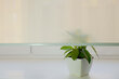 Seinapealne ruloo koos tekstiiliga Dekor 150x170 cm, d-23 lilla hind ja info | Rulood | kaup24.ee