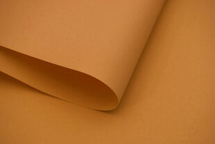 Настенный тканевый ролет Dekor 200x170 см, d-24 коричневый цена и информация | Рулонные шторы | kaup24.ee