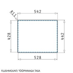 Мойка Pyramis Astris Colora 50x40 золотистый цена и информация | Раковины на кухню | kaup24.ee