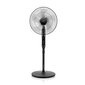 ETA Naos Fan ETA260790000 Stand Fan, Num hind ja info | Ventilaatorid | kaup24.ee