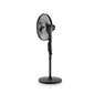 ETA Naos Fan ETA260790000 Stand Fan, Num цена и информация | Ventilaatorid | kaup24.ee