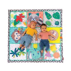 Игровой коврик Infantino 120 x 120 cm цена и информация | Развивающие коврики | kaup24.ee