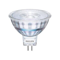LED lamp Philips (GU5.3, 35W), Philips GU5.3 Philips 35W Warm wh. 36D, LED spuldze GU5.3, Philips, Светодиодная лампа Philips (G hind ja info | LED ribad | kaup24.ee