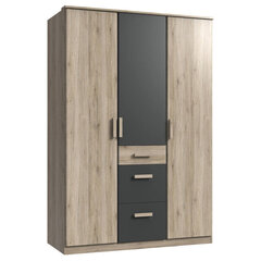 Шкаф Cariba, коричневый/серый цена и информация | Шкафы | kaup24.ee