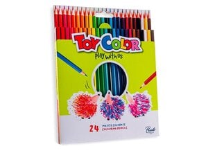 Цветные карандаши «Play with us», 24 шт., Toy Color 6 цена и информация | Принадлежности для рисования, лепки | kaup24.ee