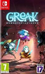 SWITCH Greak: Memories of Azur цена и информация | Компьютерные игры | kaup24.ee