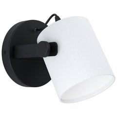 Eglo настенный светильник Hornwood 1 43427 цена и информация | Настенные светильники | kaup24.ee