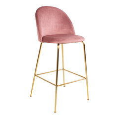 2-tooliga komplekt Lausanne, roosa hind ja info | Söögilaua toolid, köögitoolid | kaup24.ee
