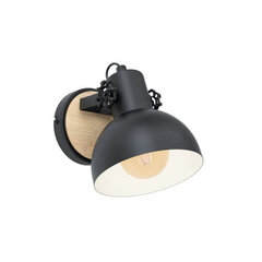 Eglo настенный светильник Lubenham 43164 цена и информация | Настенный светильник Конусы | kaup24.ee