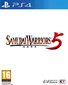 PlayStation 4 mäng Samurai Warriors 5 hind ja info | Arvutimängud, konsoolimängud | kaup24.ee