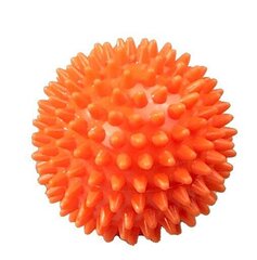 Мяч массажный SVELTUS 0454 8см цена и информация | Аксессуары для массажа | kaup24.ee
