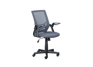 Рабочее кресло Jilli, серое цена и информация | Офисные кресла | kaup24.ee