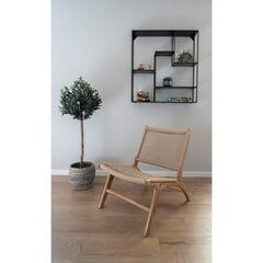Кресло Derby, коричневый цена и информация | Уличные cтулья | kaup24.ee