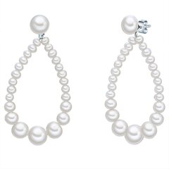 Серёжки Valero Pearls 891262386 цена и информация | Серьги | kaup24.ee