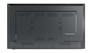 49 4K Ultra HD ekraanilahendus ärile NEC MultiSync E498 hind ja info | NEC Monitorid ja monitori kinnitused | kaup24.ee