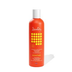 Šampoon katkevatele ja kahjustatud juustele "Dzintari" 300ml hind ja info | Šampoonid | kaup24.ee