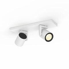 Philips Hue - Argenta plate/spiral - White and Color Ambiance (White) hind ja info | Laelambid | kaup24.ee