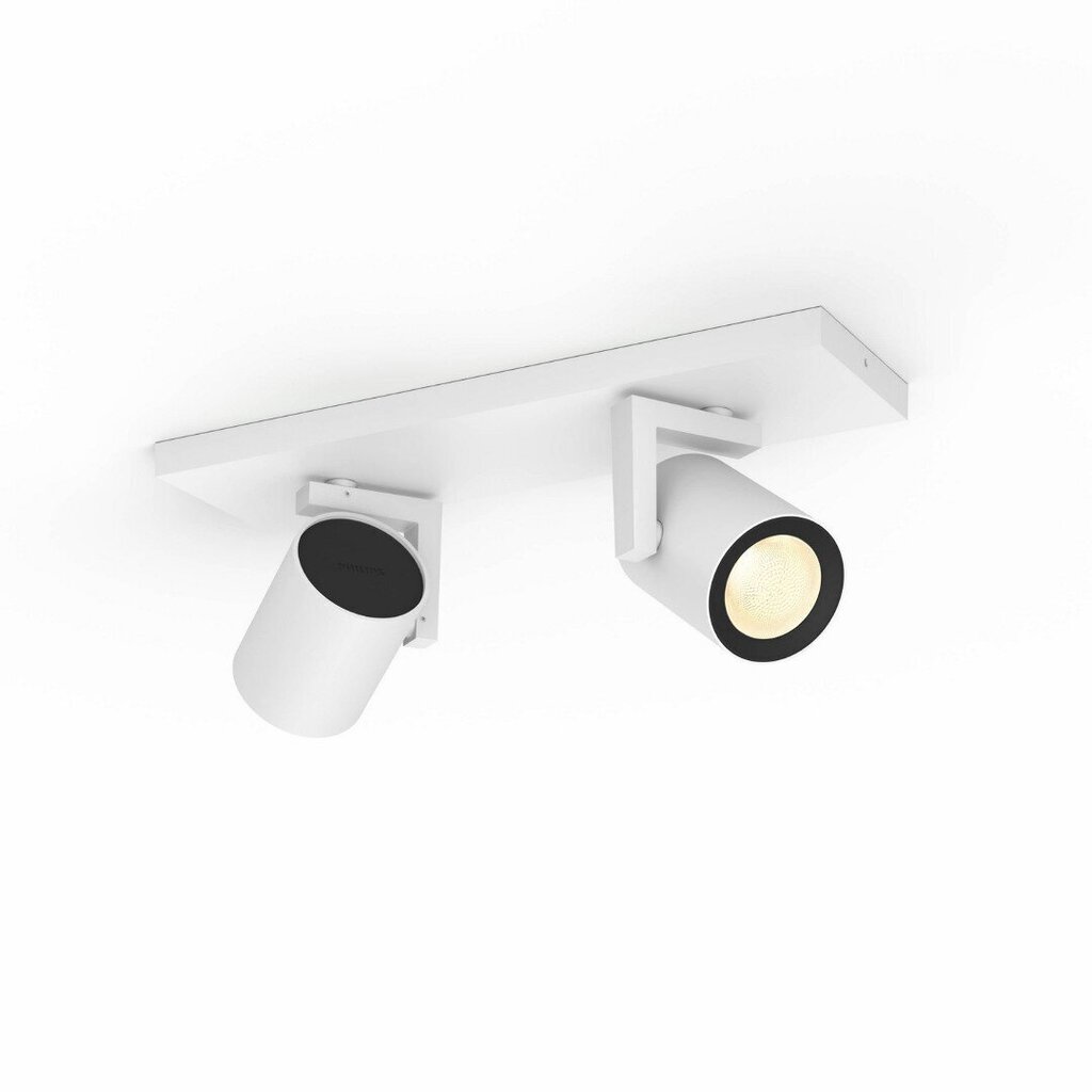 Philips Hue - Argenta plate/spiral - White and Color Ambiance (White) hind ja info | Laelambid | kaup24.ee