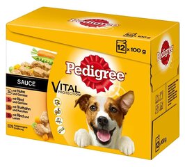 Pedigree консервный набор для собак Vital Protection, 12x100 г цена и информация | Консервы для собак | kaup24.ee