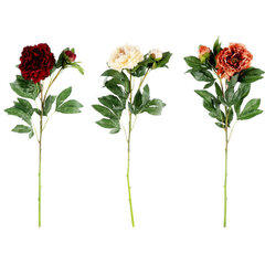 Искусственный цветок Peony Branch 3 разные цена и информация | Искусственные цветы | kaup24.ee