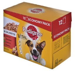 Pedigree konservikomplekt koertele Vital Protection, 12x100 g цена и информация | Консервы для собак | kaup24.ee