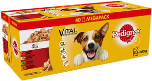 Pedigree konservikomplekt koertele Vital Protection, 4 kg цена и информация | Консервы для собак | kaup24.ee