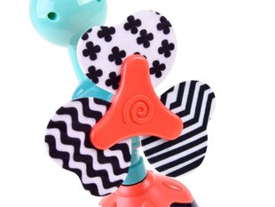 Värviline kõristi, paabulind hind ja info | Imikute mänguasjad | kaup24.ee