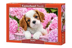 Pusle Castorland Puzzle Ginger Kitten, 500-osaline hind ja info | Pusled | kaup24.ee