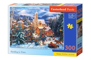 Пазл Puzzle Castorland, 300 дет. цена и информация | Пазлы | kaup24.ee