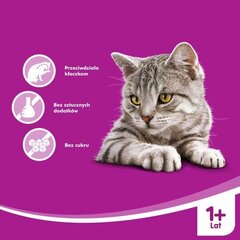 Whiskas лакомство для взрослых кошек Anti-Hairball, 50 г цена и информация | Лакомства для котов | kaup24.ee