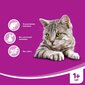 Whiskas maiustused täiskasvanud kassidele Anti-Hairball, 50 g hind ja info | Maiustused kassidele | kaup24.ee