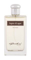 Gandini 1896 Legno Di Agar EDT meestele 100 ml hind ja info | Meeste parfüümid | kaup24.ee