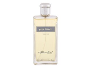 <p>Gandini 1896 Pepe Bianco EDT</p>
 цена и информация | Мужские духи | kaup24.ee